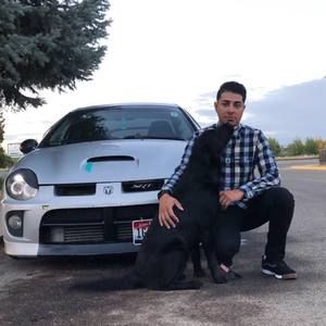 Meet your Posher, Alex